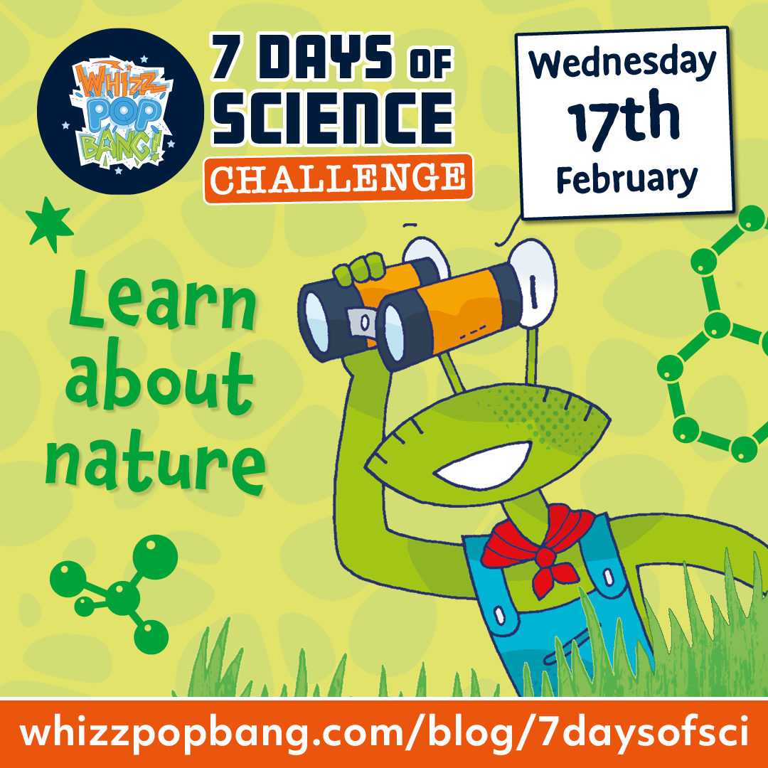 Science Magazine For Kids Whizz Pop Bang Blog   7 Days Science7 