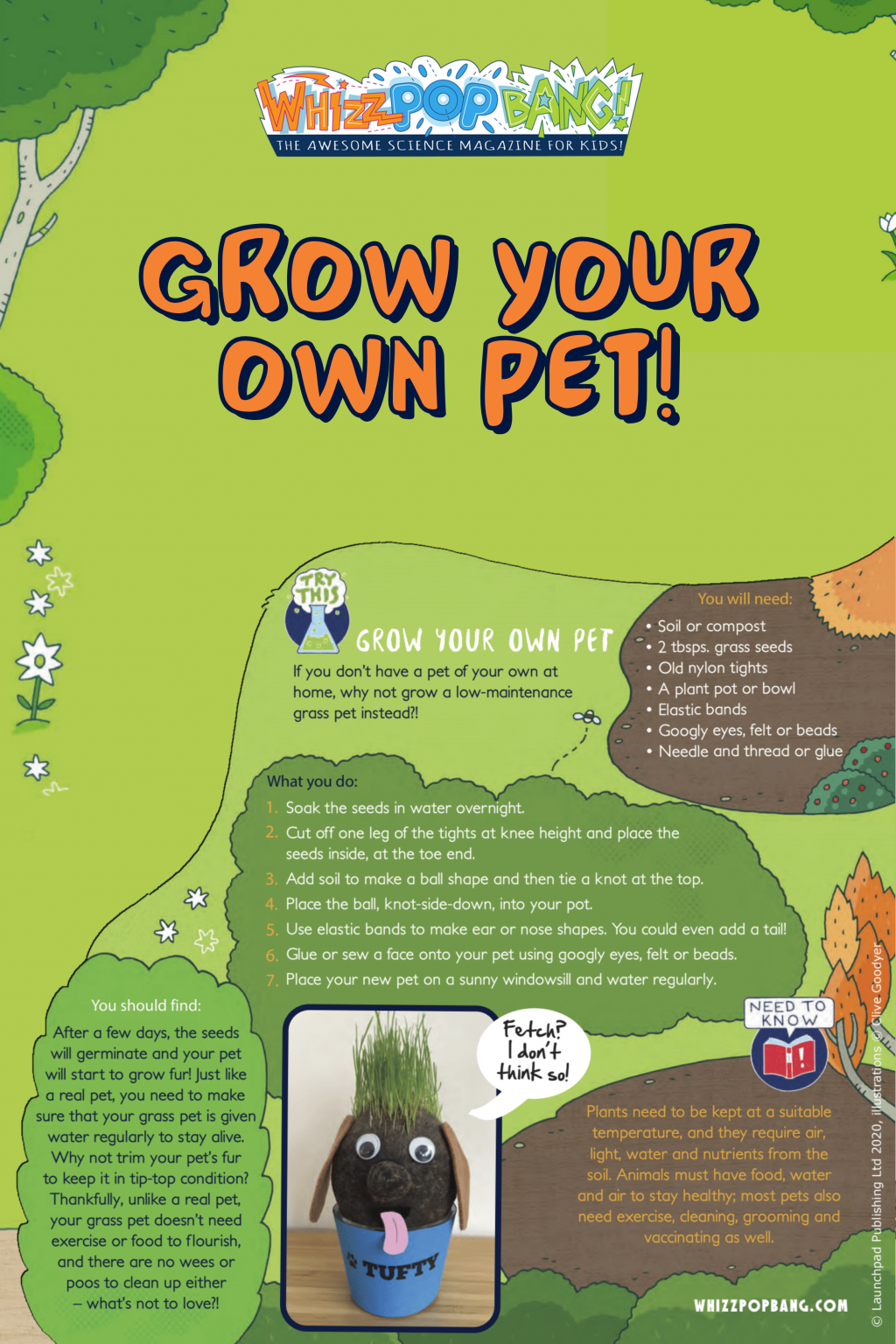 Grow your own pet – A FREE seed germination science activity – Whizz ...