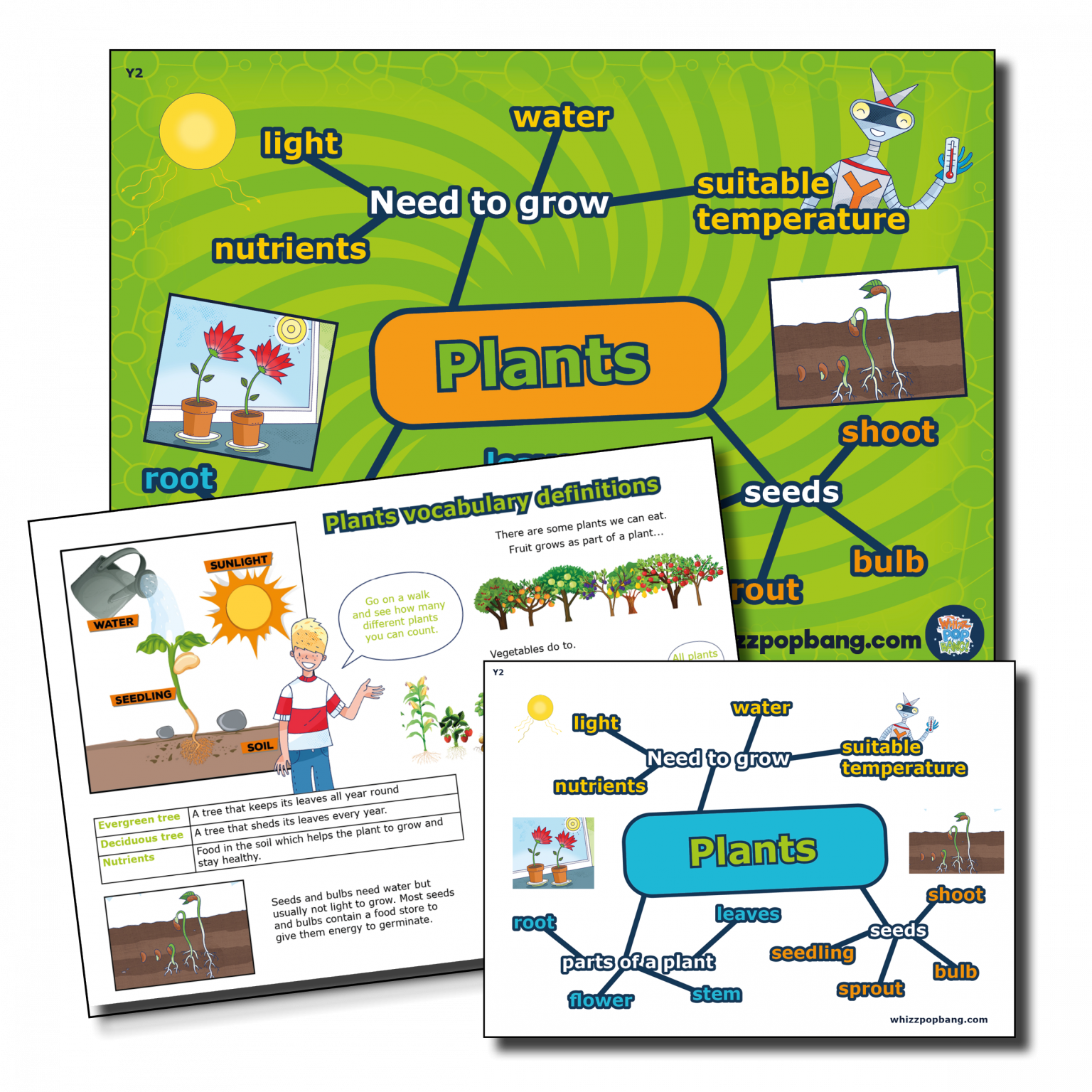 teaching-plants-in-science-whizz-pop-bang-blog