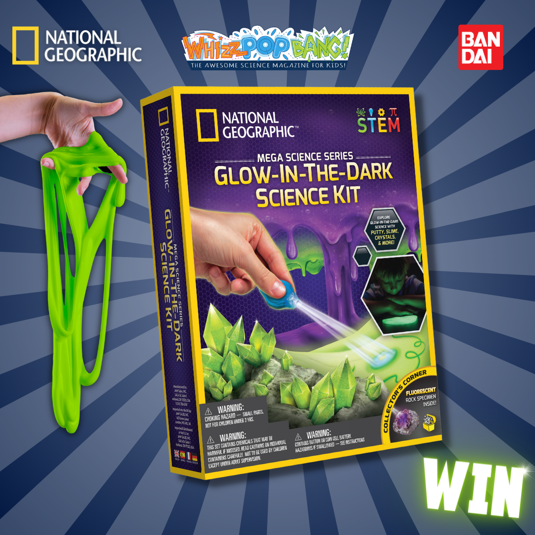 COMPETITION CLOSED – WIN a National Geographic Glow-in-the-Dark Mega