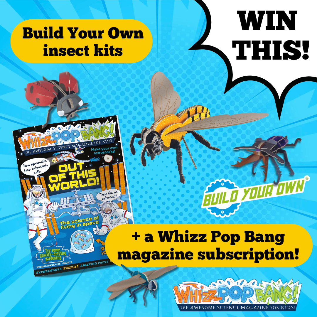 Win Build Your Own Insect kits and a Whizz Pop Bang subscription
