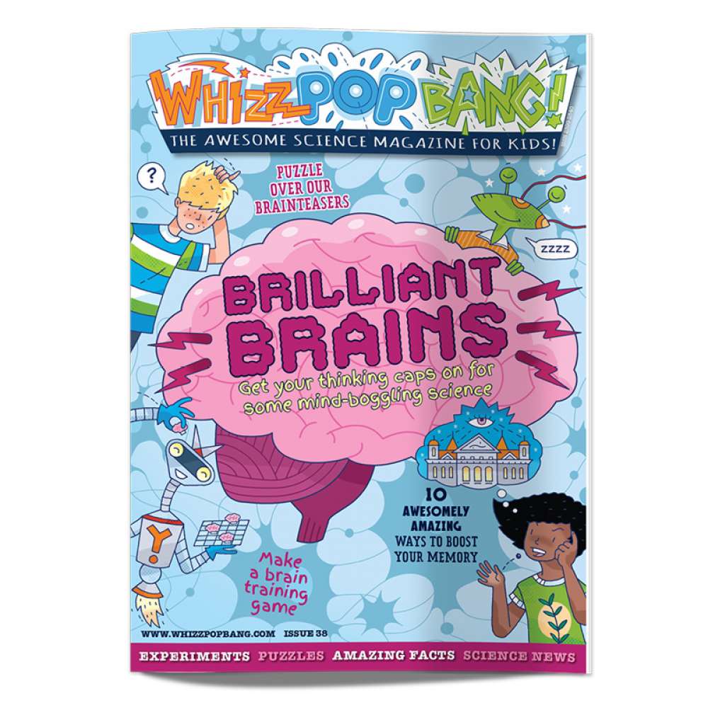 Issue 38: Brilliant Brains