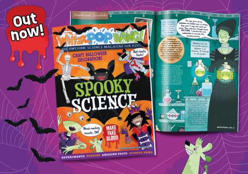 GET THE CURRENT ISSUE OF WHIZZ POP BANG