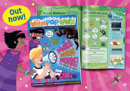 GET THE CURRENT ISSUE OF WHIZZ POP BANG