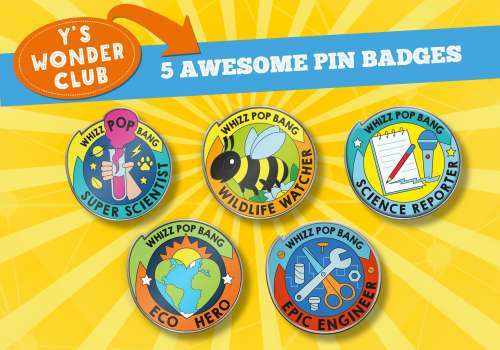 Epic pin badges for your child to earn