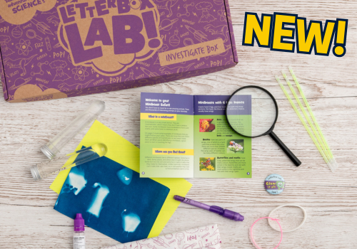 NEW! Letterbox Lab Science Kits