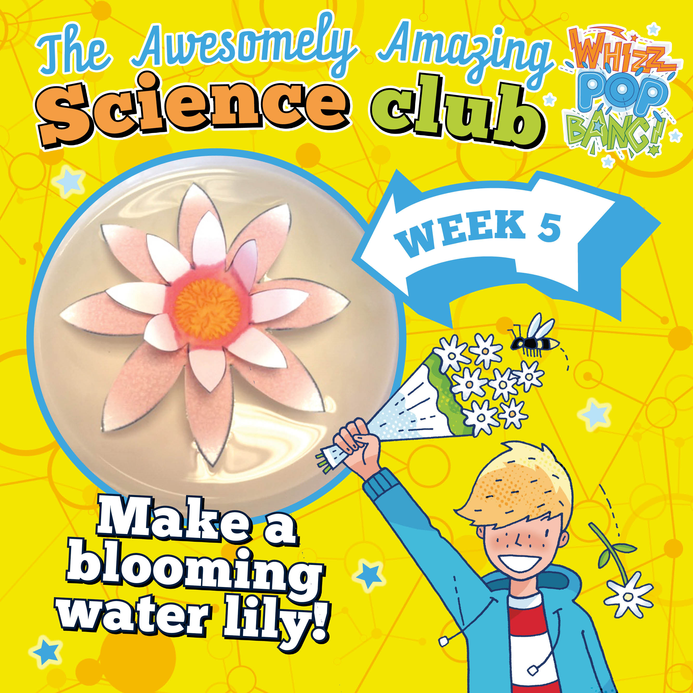 Science club for children